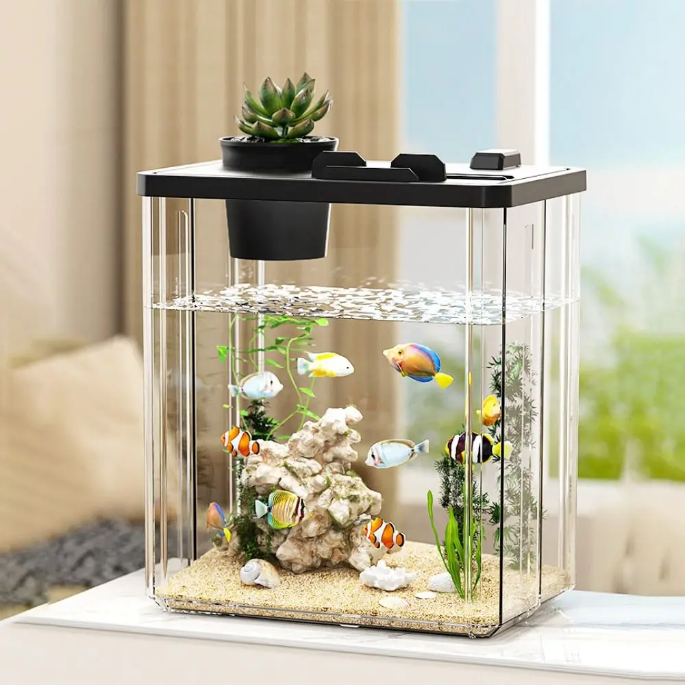 Marine Aquarium With Sump - حوض سمك مكتبي مع مضخة مياه