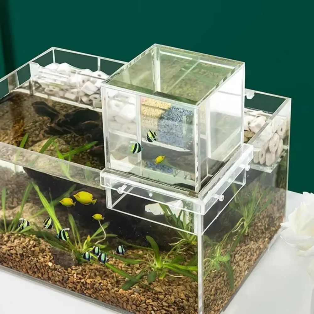 Marine Aquarium With Sump - حوض سمك بضغط سلبي للديكور المنزلي،