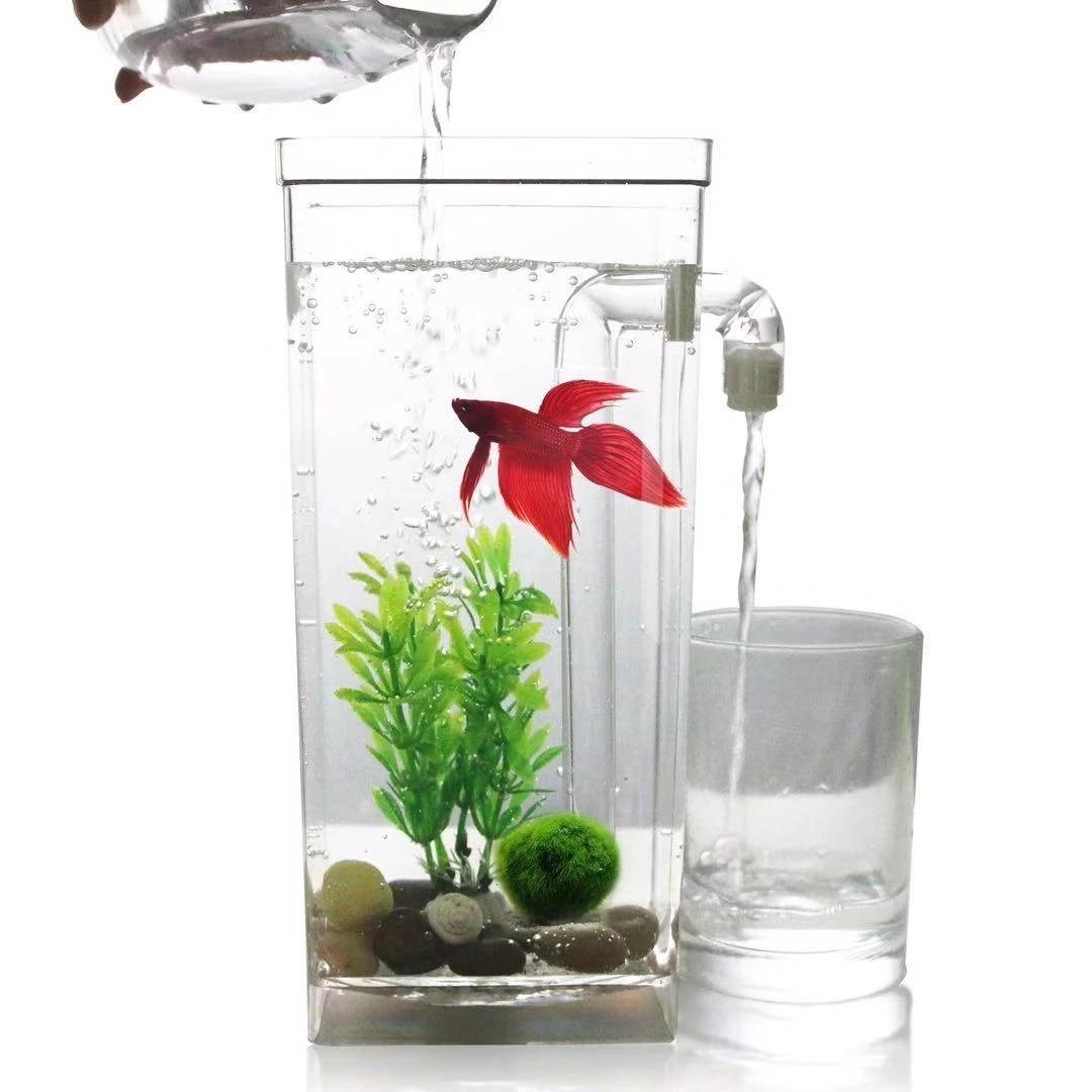 Marine Aquarium With Sump - كسول الحرة تغيير المياه سطح المكتب