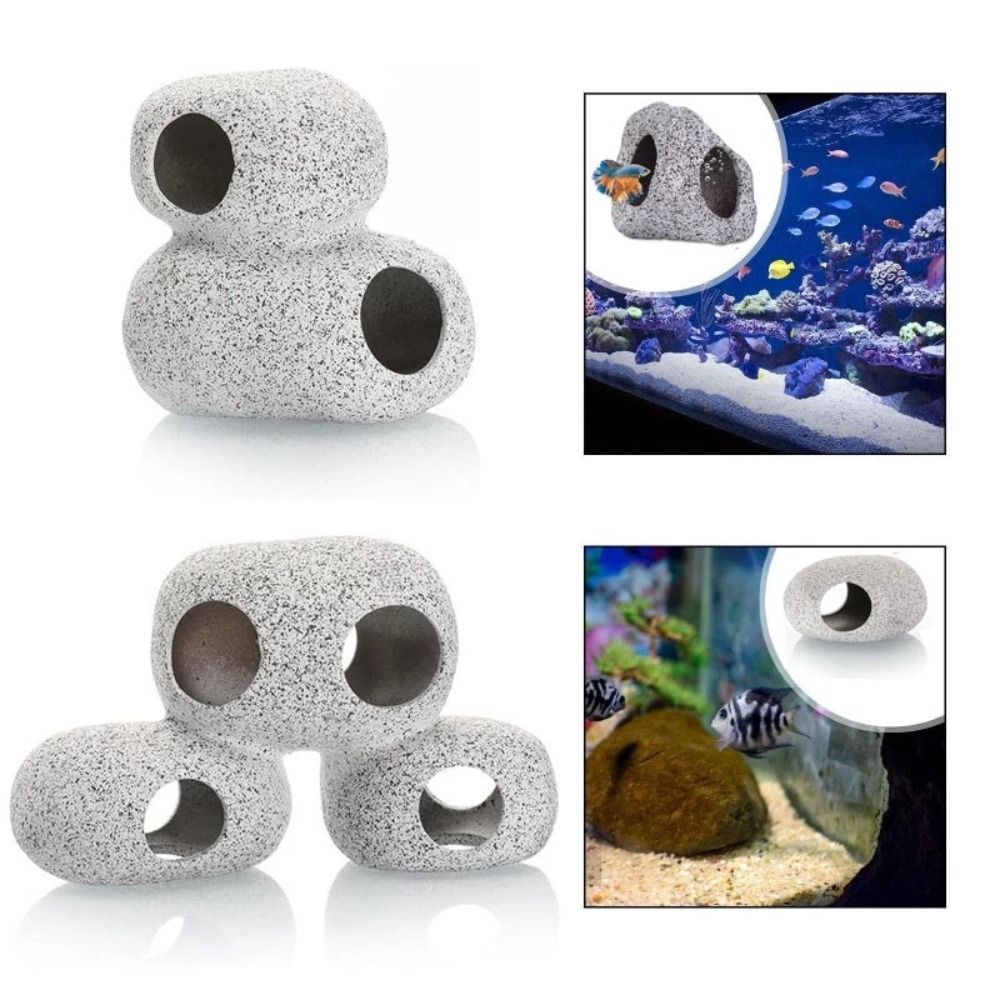صخرة مخبأ للأحواض المائية من ا - مراجعة Aquarium Marine Sand وسعره