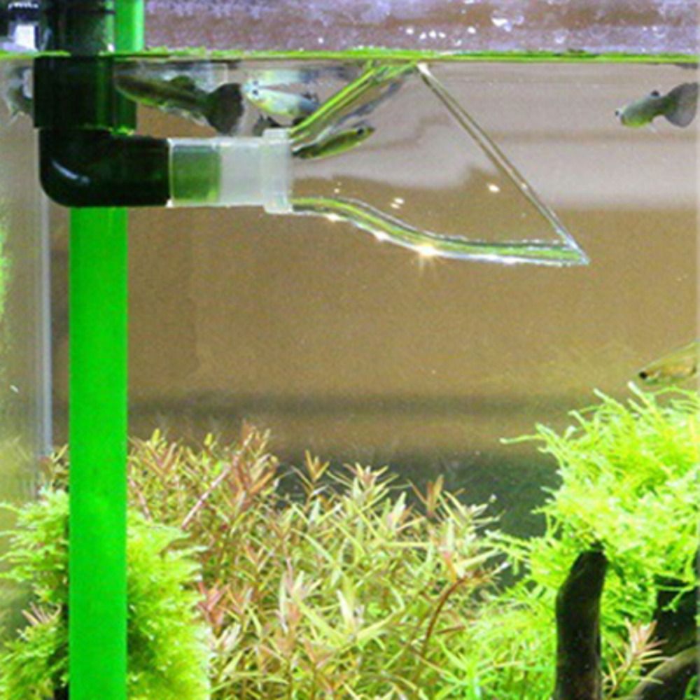 12/16/22 مللي متر نبات المياه  - مراجعة Marine Aquarium Water وسعره