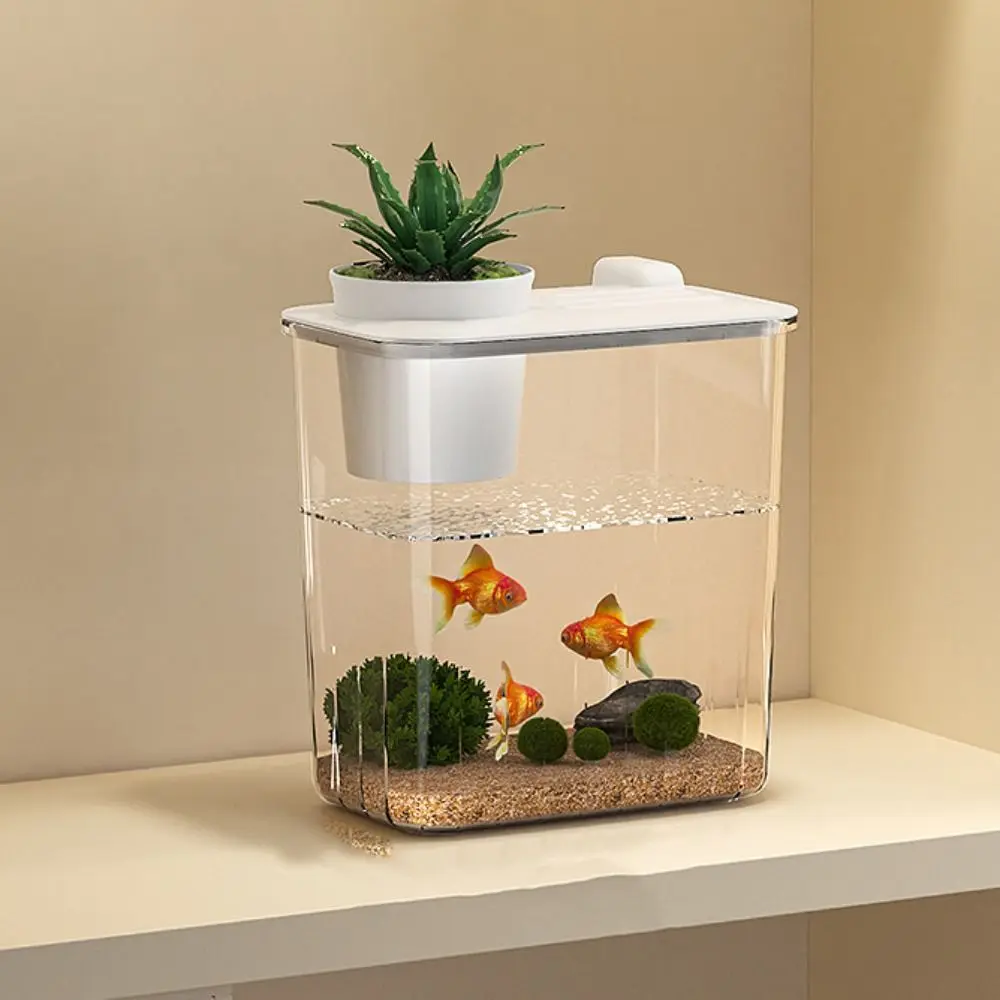 حوض سمك مكتبي مع مضخة مياه وفل - مراجعة Marine Aquarium With Sump وسعره