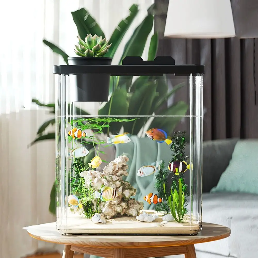 حوض سمك مكتبي مع مضخة مياه وفل - مراجعة Marine Aquarium With Sump وسعره