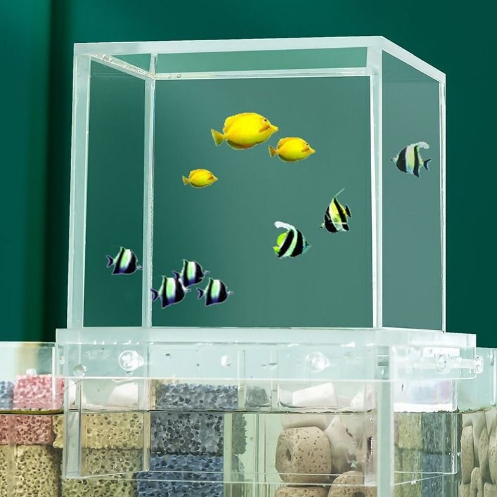 حوض سمك بضغط سلبي للديكور المن - مراجعة Marine Aquarium With Sump وسعره