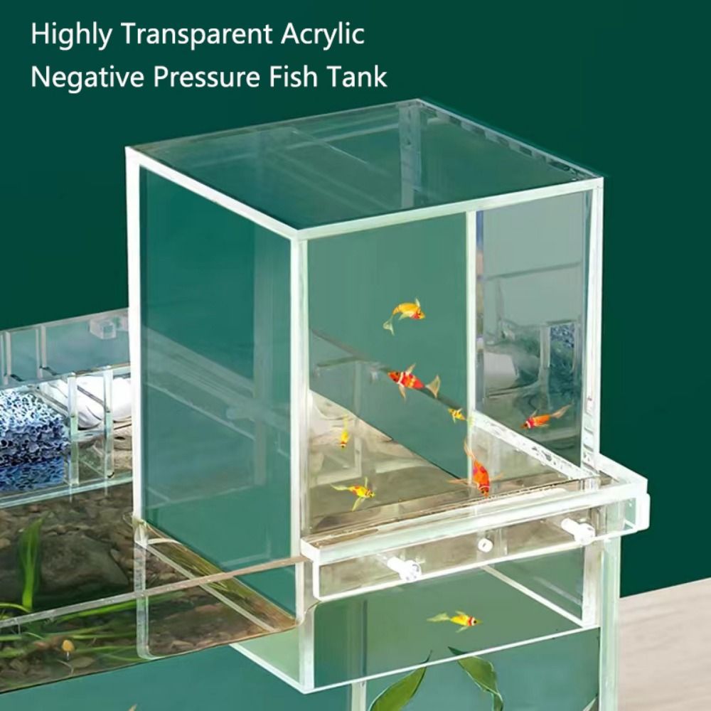 حوض سمك بضغط سلبي للديكور المن - مراجعة Marine Aquarium With Sump وسعره