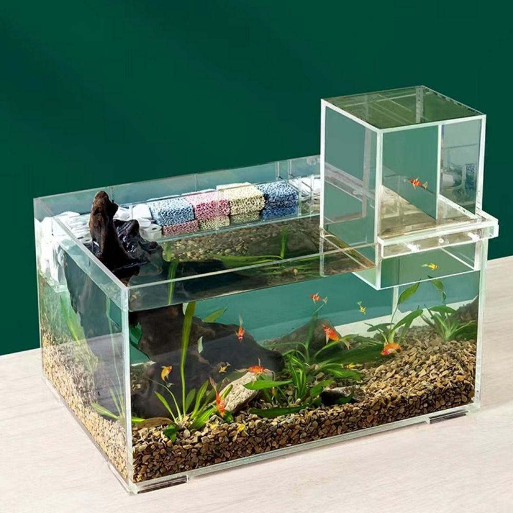 حوض سمك بضغط سلبي للديكور المن - مراجعة Marine Aquarium With Sump وسعره