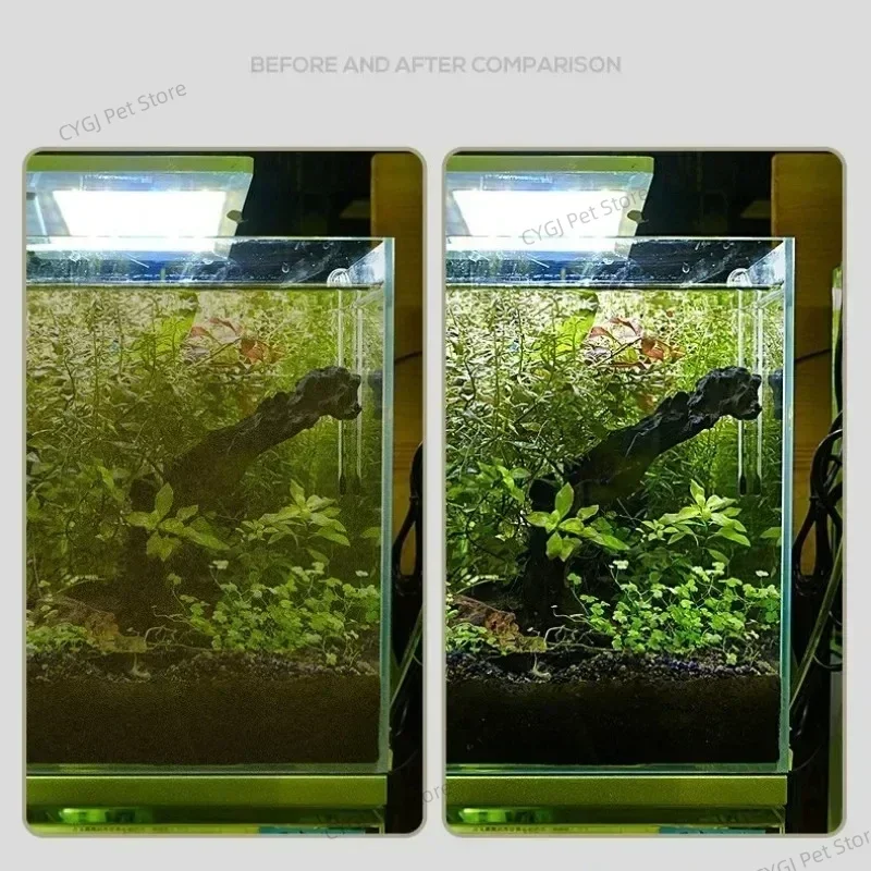 أداة تنظيف خزان الأسماك إزالة  - مراجعة Aquarium Marine Sand وسعره