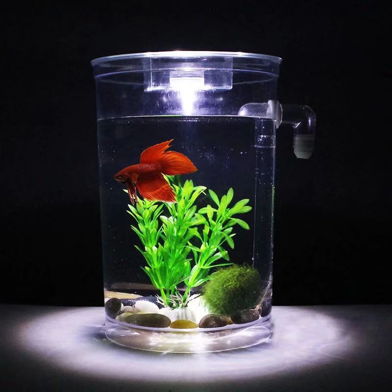 كسول الحرة تغيير المياه سطح ال - مراجعة Marine Aquarium With Sump وسعره