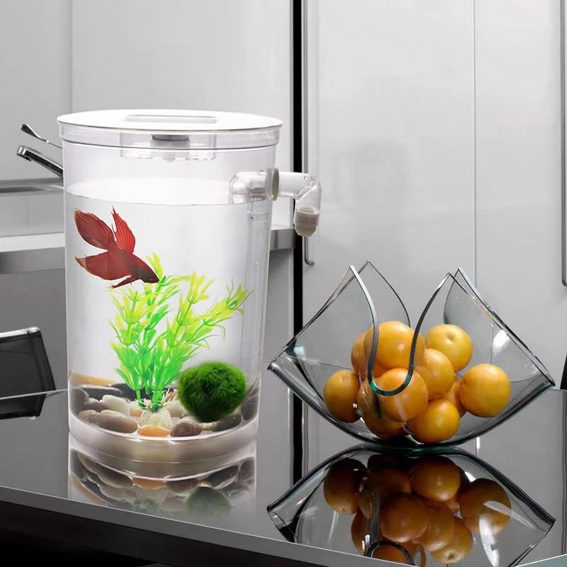 كسول الحرة تغيير المياه سطح ال - مراجعة Marine Aquarium With Sump وسعره