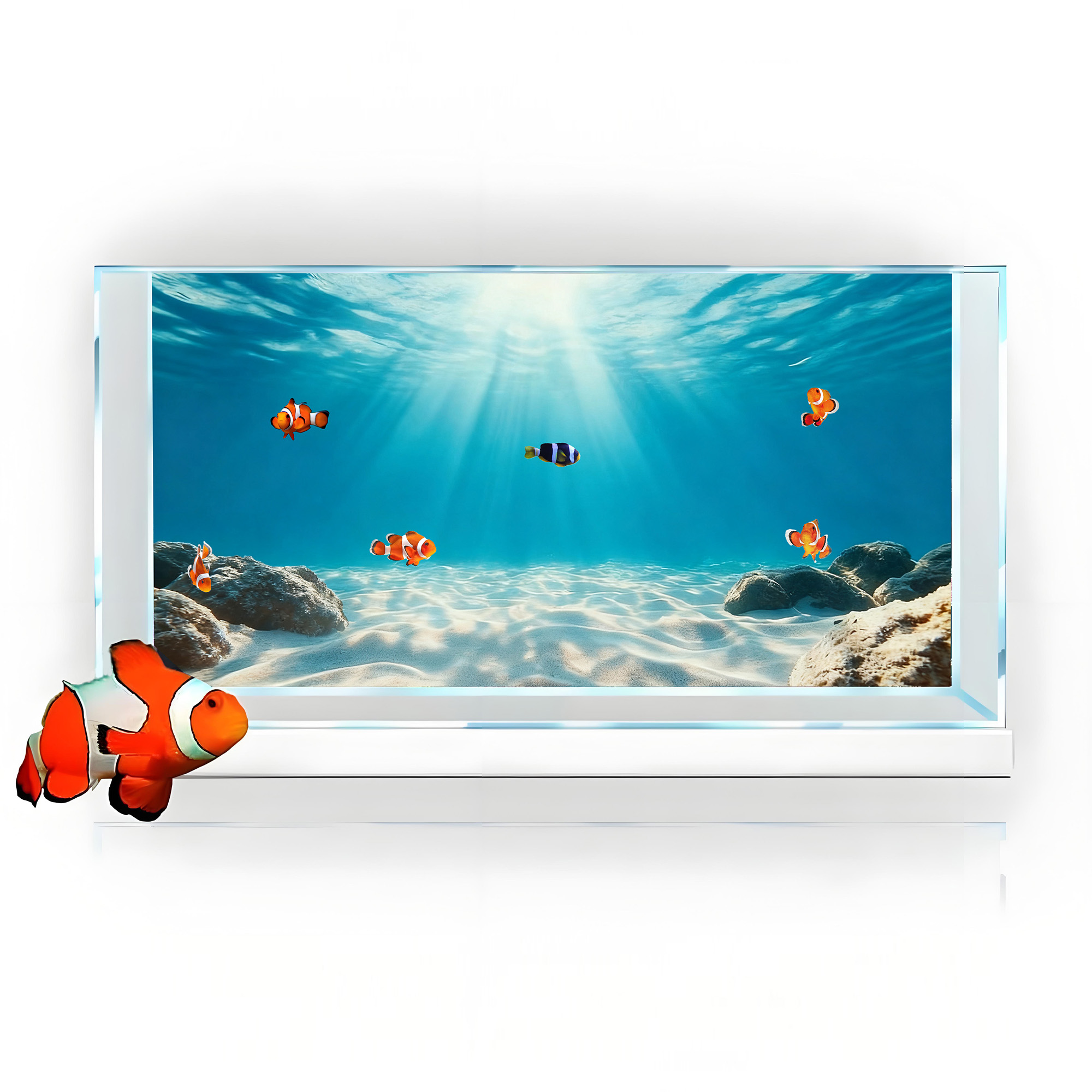 رمل بحري أزرق شفاف، لوحة خلفية - مراجعة Aquarium Marine Sand وسعره