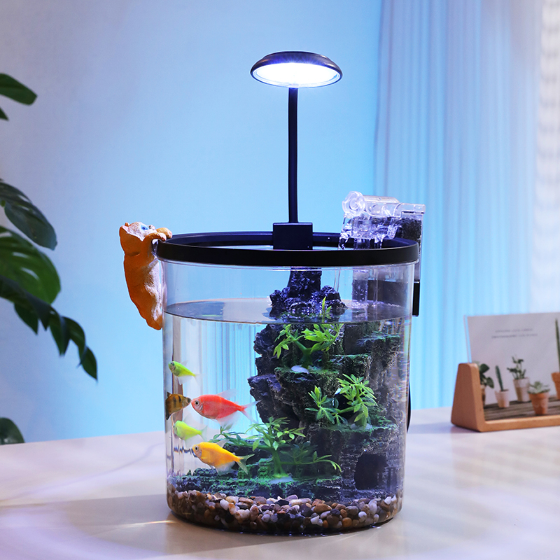 وعاء ذهبي مستدير مدمج - حوض ال - مراجعة Marine Aquarium With Sump وسعره