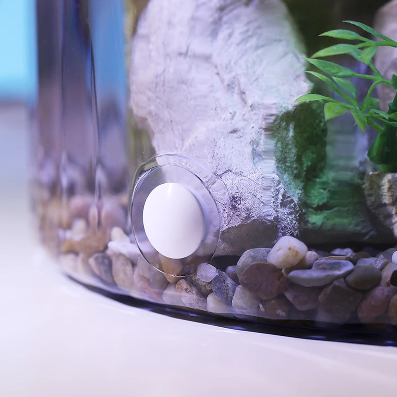 وعاء ذهبي مستدير مدمج - حوض ال - مراجعة Marine Aquarium With Sump وسعره
