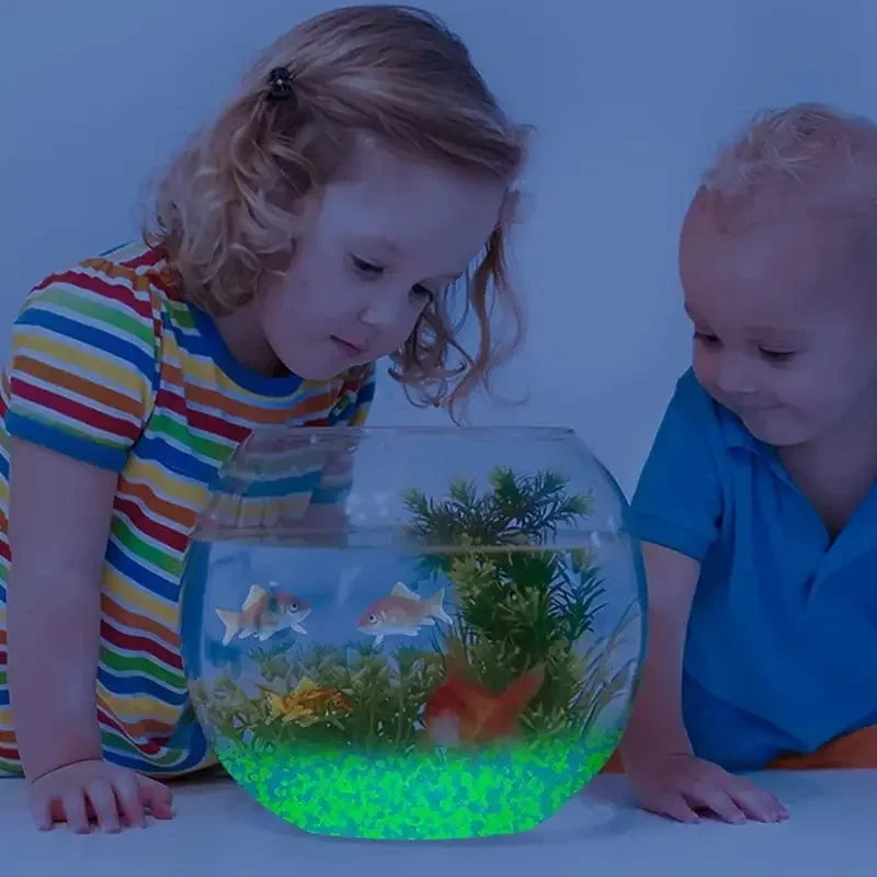 1000 قطعة 3-5 مللي متر مضيئة ا - مراجعة Aquarium Marine Sand وسعره