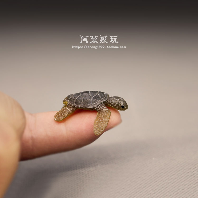 الحياة البحرية السلاحف البحرية - مراجعة Marine Aquarium Japan وسعره