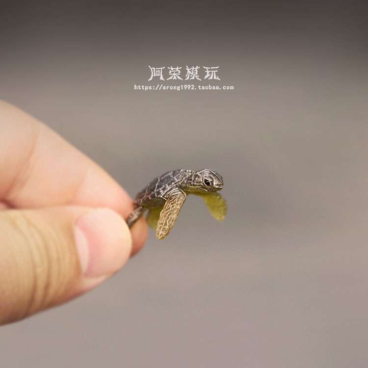 الحياة البحرية السلاحف البحرية - مراجعة Marine Aquarium Japan وسعره