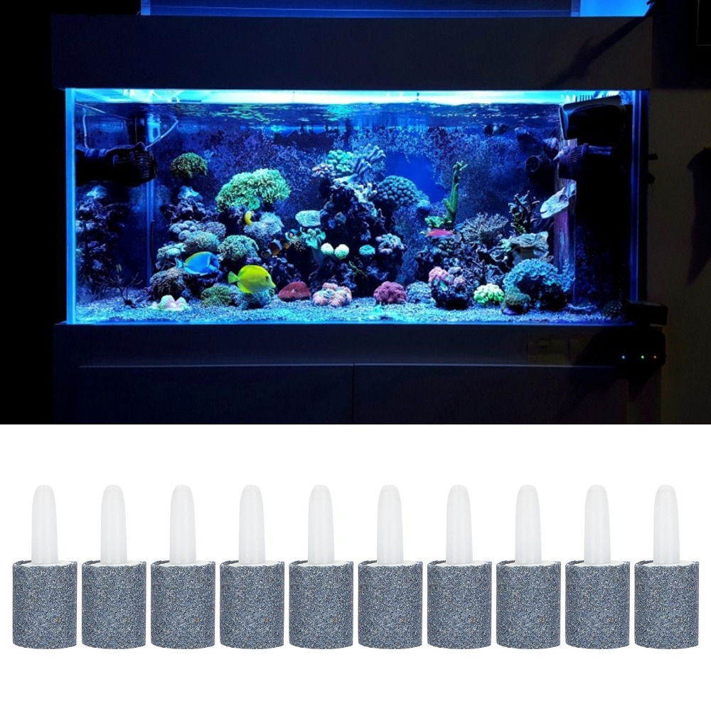 10 قطعة مجموعة اسطوانة شكل حوض - مراجعة Aquarium Marine Sand وسعره
