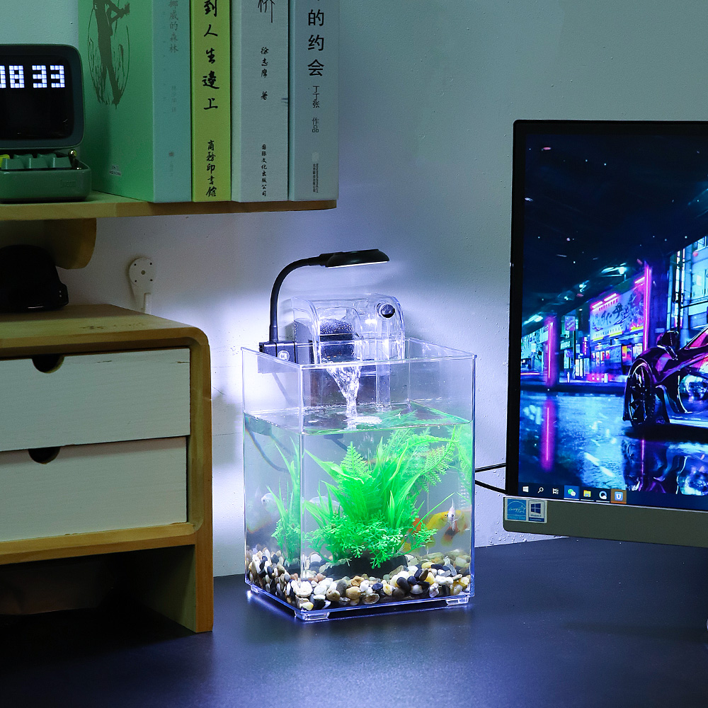 طقم خزان أسماك سطح مكتب USB لغ - مراجعة Marine Aquarium With Sump وسعره