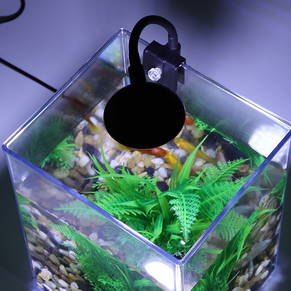 طقم خزان أسماك سطح مكتب USB لغ - مراجعة Marine Aquarium With Sump وسعره
